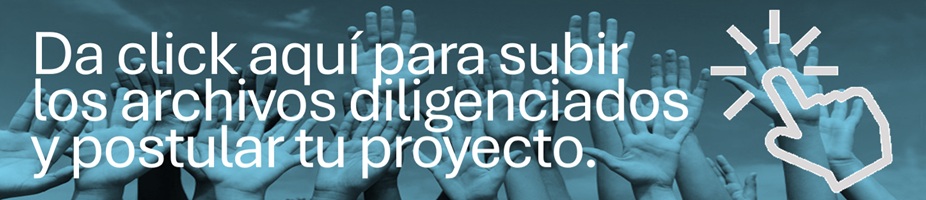 Asegúrate de tener previamente diligenciados los archivos antes de ingresar al link, para poder subirlos al formulario.